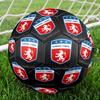 Olympique Lyonnais Indoor Soccer Ball Size 5 Colorful All Ages Machine Stitched PVC Competition Ready Durable High-Bounce