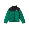 1996 Nuptse Icon Puffer Jacket 'Green' Men's NF0A3C8D-NL1