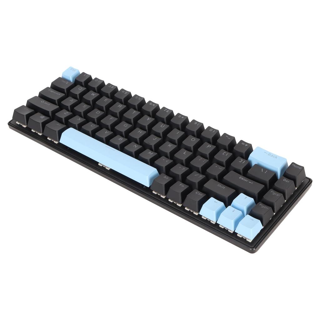 Gaming Keyboard USB 68 Keys Blue Switch N Key Rollover 10 RGB Backlit Modes Wired Keyboard for Desktop Laptop Black Blue