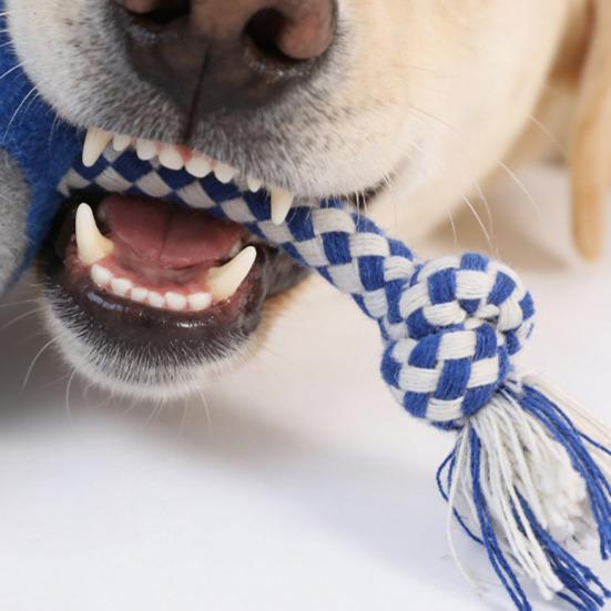Giocattolo da Masticare Cane Animale Peluche con Corda di Cotone Resistente al Morso Maiale Ripieno Anatra Orso Cucciolo Giocattolo per la Noia Cani Che Fanno Rumore Dentizione Interattivo
