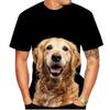Nyári 3D nyomtatású pólók Nyári Férfi Női Golden Retriever Rövid ujjú Állat Túlméretezett Harajuku Kutya Pólók Felsők Gyerek Ruházat