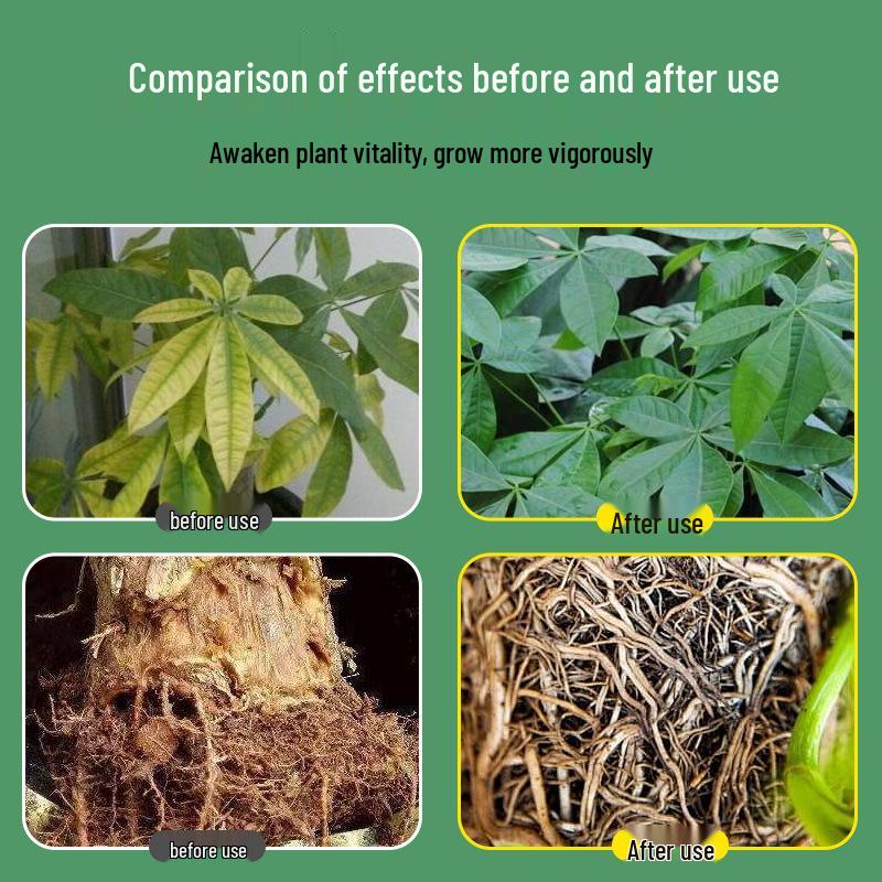 Universal Plant Nutrient Solution for Potted Money Trees, Happiness Trees, Succulents, Flowers, and Green Plants.