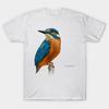 Tricou femei Kingfisher ilustrație detaliată cu pasăre Harajuku imprimeu Kawaii Tricou vară cu mânecă scurtă Tricou pentru femeie Top Tricou