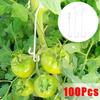 100PCS J-Shaped Tomato Support Hooks Reusable Plant Fixed Buckles for Vegetable Vines Trellis Garden Climbing Plants Fixing Clips