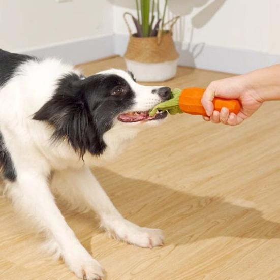 Squeaky Dog Chew Toy for Aggressive Chewers Rubber Tough Carrot Dog Toy for Teeth Cleaning Interactive Puppy Toy for Large Medium Small Breeds