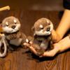 *Süßer Otter Plüsch Schlüsselanhänger Realistischer Stofftier Otter Tier Anhänger Puppe Weiche Plüschtiere Schlüsselring für Taschendekoration Geschenke Mädchen