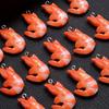 6Pcs Cute 3D Design Simulation Lobster Shrimp Resin Pendants Acrylic Cartoon Food Animal Charms for Jewelry Making Necklace