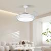 OEING 42-inch Dimmable Ceiling Fan Light