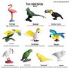 Miniature Bird Models: Parrot, Hummingbird, Woodpecker Desktop Ornaments Set