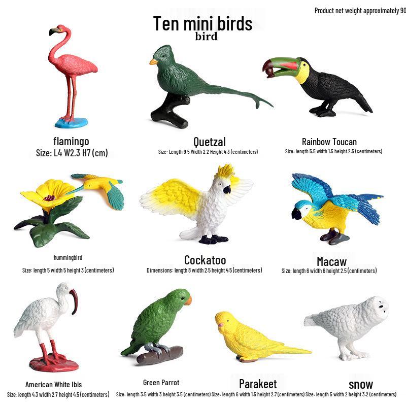 Miniature Bird Models: Parrot, Hummingbird, Woodpecker Desktop Ornaments Set