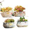 Cartoon Coarse Pottery Large Ceramic Succulent Planter with Picture Book Style