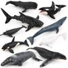 Simulation Whale Figurines Sperm Whale Sea Life Figure Collection Marine Animal Model Kids Toy