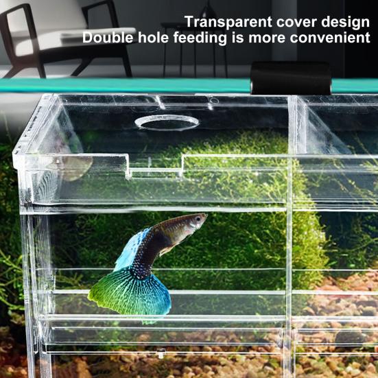 Aquarium-Zuchtbox, Isolierung, Fischzucht, Brutteiler, transparentes Multi-Grid-Design, Fischzucht-Isolationsbox für Garnelen, Clownfische