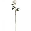 Artificial Austin Rose