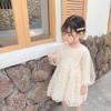 Spring and Autumn Children's Dress Baby Girls' Princess Dresses, Children's Long Sleeve Lace Dresses