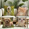 Cute Pet Animal Cushion Cover Reversible Plush Pillow Cover Soft Fluffy Home Decor for Sofa Bedroom
