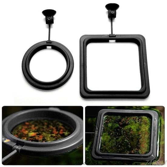Distributeur de nourriture flottant pour aquarium avec anneau de flottabilité et ventouse