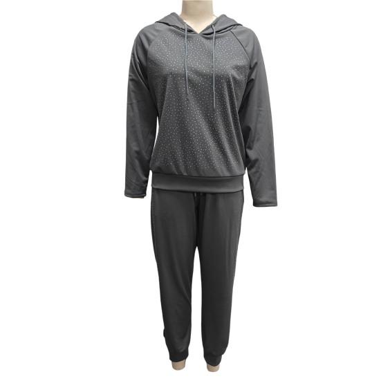 2 Pcs/Set Women Hoodie Pants Suit Rhinestone Decor Long Sleeves Patchwork Sport Sweatshirt Elastic Waist Trousers Fitness Outfit Fall Spring Tracksuit