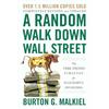 Ein zufälliger Spaziergang durch die Wall Street Taschenbuch UKN1096