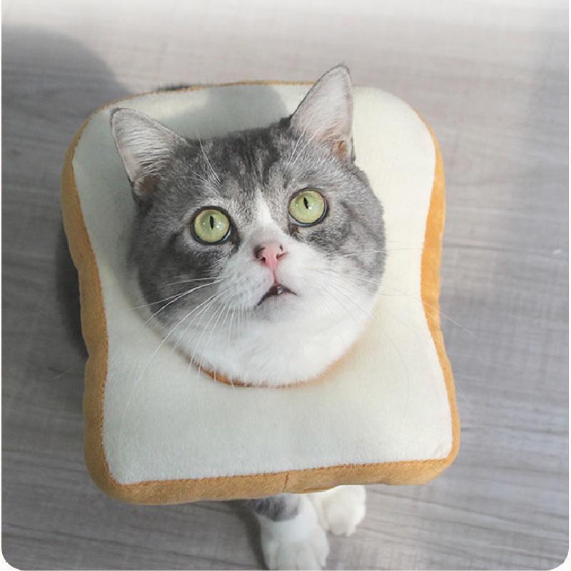 Verstellbarer Toastbrot-Elisabethkragen für Katzen und Hunde, niedliches Cartoon-Design