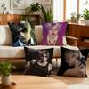 Muskel L-Leon Spiel Kissenbezug Bestes Home Office Kaffee Kissen Sofa Druck Dekoration Zimmer Shop Auto Nordische Schlichtheit Hit