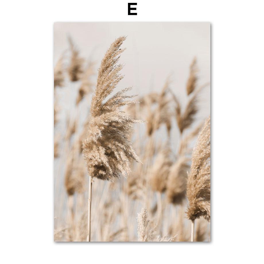 Beige Natur Mælkebøtte Rørhvede Græs Plante Citater Nordiske Plakater Prints Vægkunst Lærredsmaleri Til Stue Boligindretning