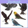 Modèle d'oiseau Chouette Sauvage en PVC avec Design Réaliste pour Décoration Intérieure et Usage Éducatif