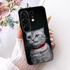 For Tecno CN5 Case For Tecno Camon 50 4G Cover Fashion Butterfly Cute Cat Cool Painted Soft Phone Casing For Techno Camon50 4G
