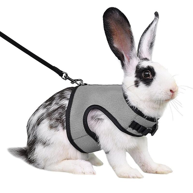 Harness with Leash Set for Rabbits  Pet Vest for Rabbit Ferrets Guinea Pig Squirrel Adjustable Soft Small Pet Harness