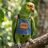 Adjustable Parrot Flying Clothes Escape-Proof Parrot Chest Harness  Avian Training