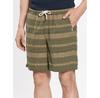 Quiksilver Taxeryd Shorts