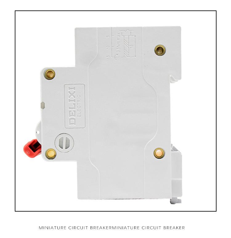 Delixi DZ47-125 2P 220V High-Power Air Circuit Breaker for Household Main Switch.