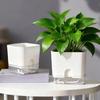 Self Watering Planter Square Flower Pot with Water Reservoir Wick Rope Modern Plant Pot for Indoor Desk Home Decor