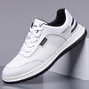 Men's Mesh Shoes Luxury Cowhide Hollow Out Leather Shoes Fashion Casual Sneaker for Men Breathable Running Shoes Tenis Masculino