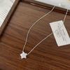 Frühlings- und Sommer-exquisites Halsketten, Fünfzackiger Stern Halsketten, Mode leichter Luxus, Nischen-Blinkender Zirkon Fransen Anhänger Schmuck