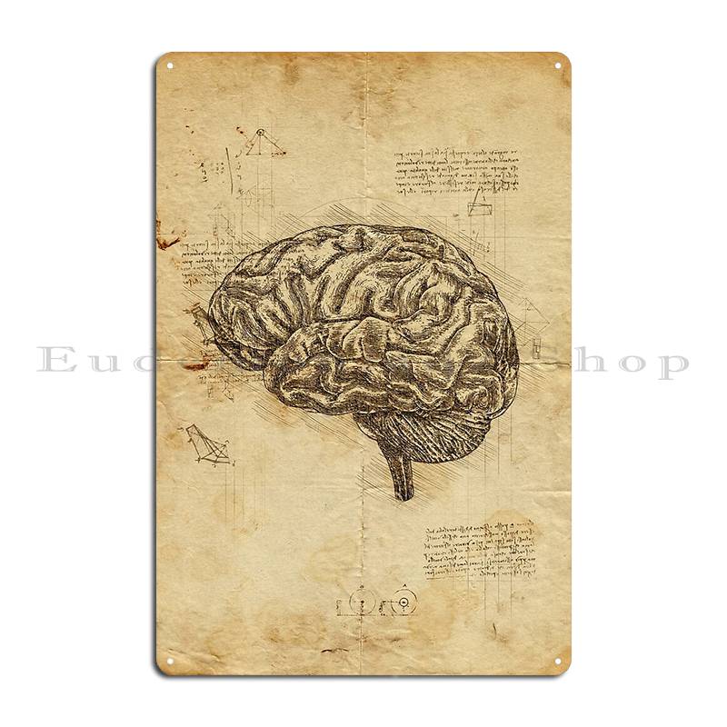 DORA Tin Sign Human Brain Anatomy Anatomical Brain On Leonardo Da Vinci Sketches Metal Plaque Poster Garage Printing Wall Cave Tin Sign Poster