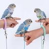 Nouveau Harnais de Vol Respirant pour Perroquet Harnais de Vol Réglable Anti-Morsure pour Perroquet Laisse Confortable pour la Marche des Oiseaux Perroquets de Petite Taille