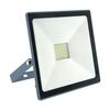 INDUS 30W IP65 6000K LED Spotlight