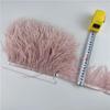 Veer1Meter Struisvogelveren op Lint Franje Randafwerking 8-10cm DIY Rok Naaiben Versieringen Randen Veer Jurk Decoratie voor Kleding Decoratie
