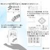 Tarot of Mermaids Tarot Reading Instructions with Japanese Authentic Tarot 78 Cards Instructions, Cards,