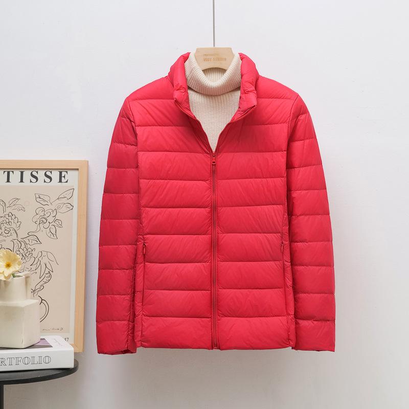 Veste Courte Légère pour Femme Style Coréen Col Montant, Grande Taille, Duvet de Canard Blanc, Tendance K-8711