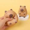 Cartoon Decompression Toys Creative Pinch Fidget Sensory Toy New Capybara Squeeze Toys  Kids Adults