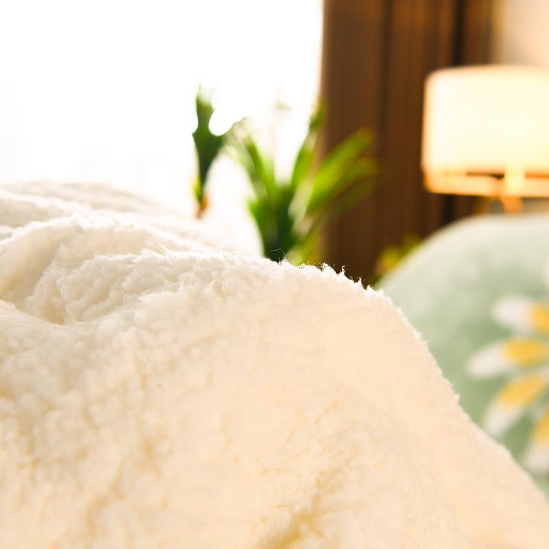 Winter Lambswool Flannel Quilt: Thick, Warm Cotton for Single Dormitory Bed