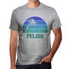 Men’s Vintage Tee Shirt Graphic T Shirt PELION Sunset Grey Marl