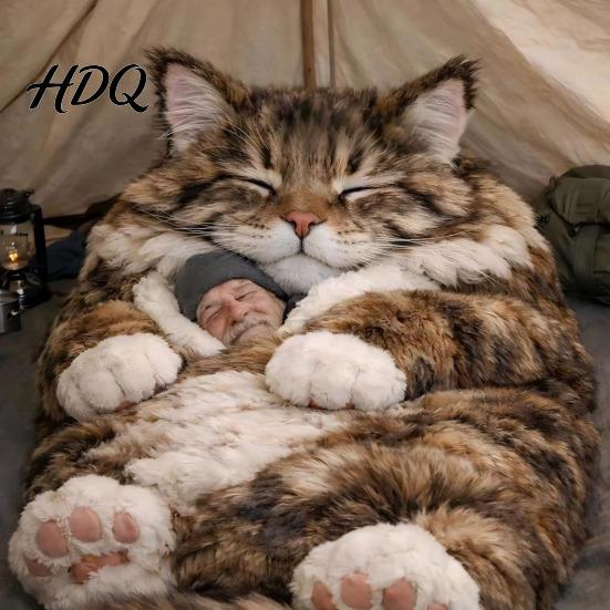 Home Sleeping Bag Adults Plush Envelope Cat Frog Shark Snake Rabbit Slumber