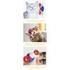 Windmill Cat Toy Interactive Pet Toys for Cats Puzzle Cat Game Toy with Whirligig Turntable for Windmill Cat Toys Cat Spinner Cat Spinner Toy
