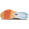 Li Ning Feidian 2 Elite Amidphenol Racing Running Shoes Men's Xinjiang Blue ARMR009-6