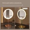 LED Licht 10x Vergroting Dubbelzijdige Metalen Make-up Spiegel