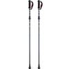 Mizuno Nordic Walking Walking Poles Alkerne of Short C3JTPD20 4A-1 (Pair 2), Unisex, Violet, Type,
