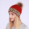 Autumn Winter Women's Thickened Warmth Knitted Wool Leopard Pile Hat